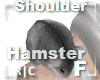 R|C Hamster Gray F