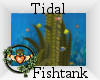 ~QI~ Tidal Fishtank