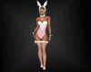 Sexy Bunny Full OutFit