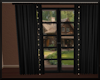 Window / Curtains Black