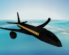 !! Black N Gold Jet