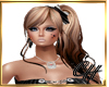 CH Chrys Brown Blond