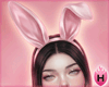 Bunny Ears Kawaii