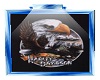 harley davidson picture