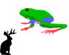 Pet Tree Frog