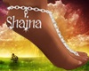 Shaina Chaine de pieds