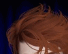 R. Hill Ginger