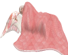 {LL} Pink Cuddle Blanket