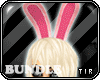 TIR&Bunny Bundle