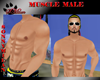 [SM] MUSCLE MALE
