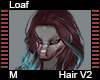 Loaf Hair M V2