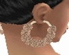 [R] Brown Earrings