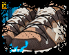 shoes star