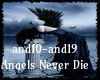 Angels Never Die song2