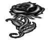 Black Rose