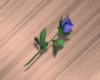 Tiny Blue Rose