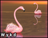 Exotic Flamingo v1