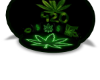 420 COZY