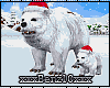 ^Christmas Bears