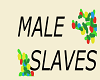 Male Slaves Sign