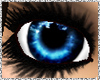 [P] Electric Blue eyes