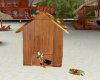 Animated Wood Pet House