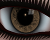 Brown Window Eyes ~LC