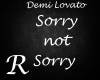 Sorry not sorry - DL