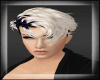 Aiolo Light Blond [ M ]