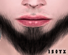 Z. Brba V2