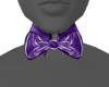 Purple Collar 25/3