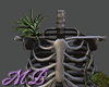 MB Skeleton Plant