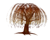 Willow Tree - Animated