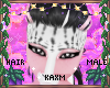 ꨄBlossom Hairꨄ