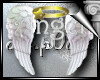 D3~Angel Wings