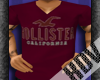 |DV|HOLLISTER TEE [PMI]