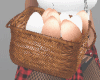 I Eggs Basket