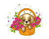 puppy/flowers