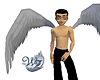 DLUX Angel Wings Grey