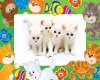 Kittens Picture Frame