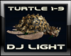 Turtle Epic DJ LIGHT