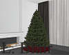 Xmas Tree | Bare - Moody