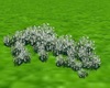 WHITE GROUND COVER