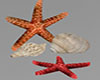 Mantel Starfish Shells
