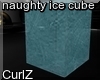 Naughty on the Ice Cube