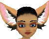 rena custom ears