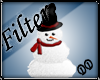 DD Snowman Filter