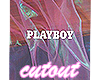 playboy cutout