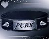 PURR -Spike Collar