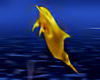 Golden OceanRide Dolphin